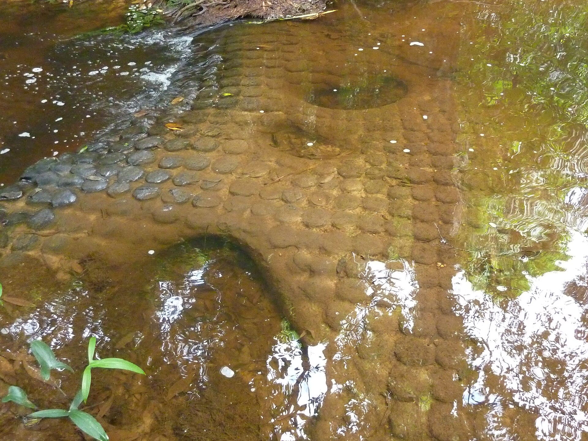 Rows of lingas carved into the living rock of the Kbal Spean riverbed.