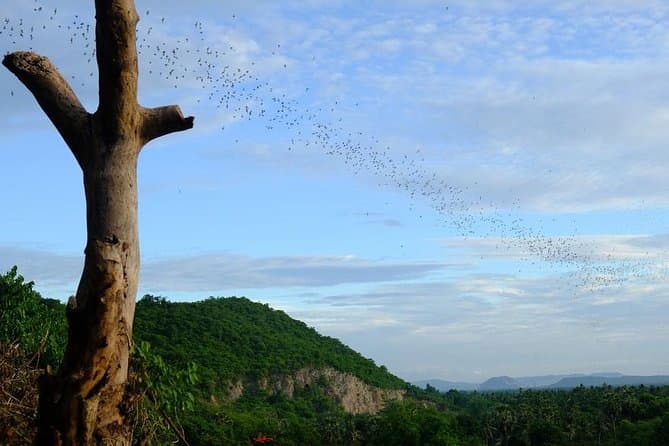 Bat cave at sunset